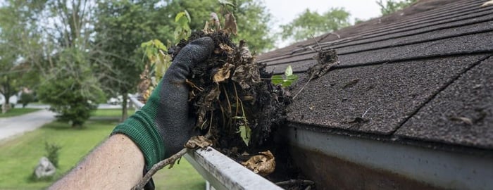 Why It's Important to Have Your Gutters Cleaned
